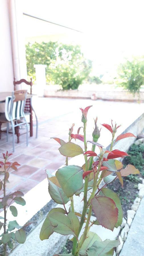 Country House Kefalonia Dhorizata Exterior photo